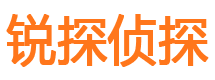 天宁市私家侦探